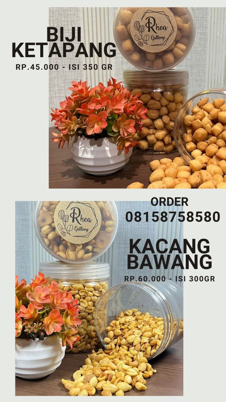 Biji Ketapang – Kacang Bawang